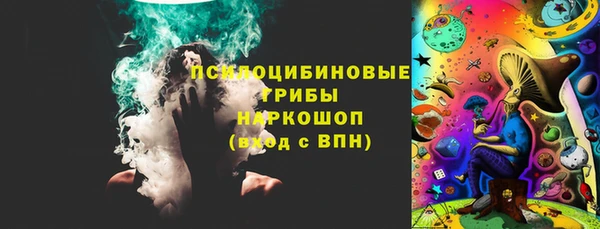 кокс Алексин